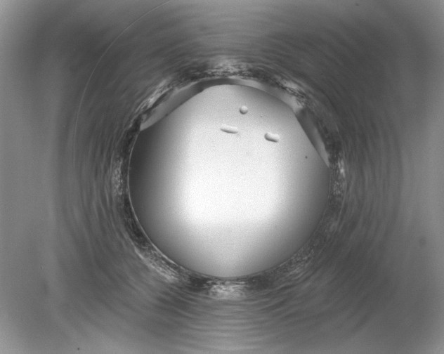 X0000078870560200612042001