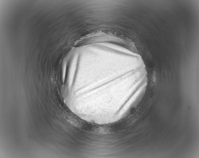 X0000078870561200612042001