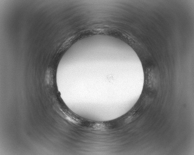 X0000078870562200612042001