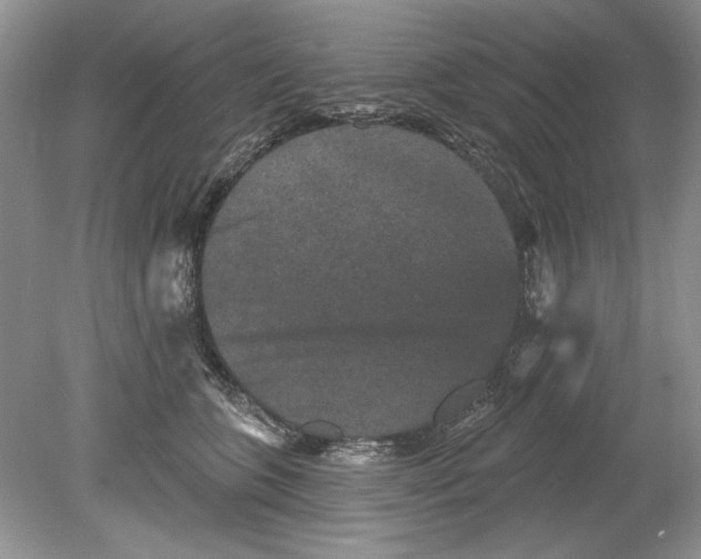 X0000078870563200612042001