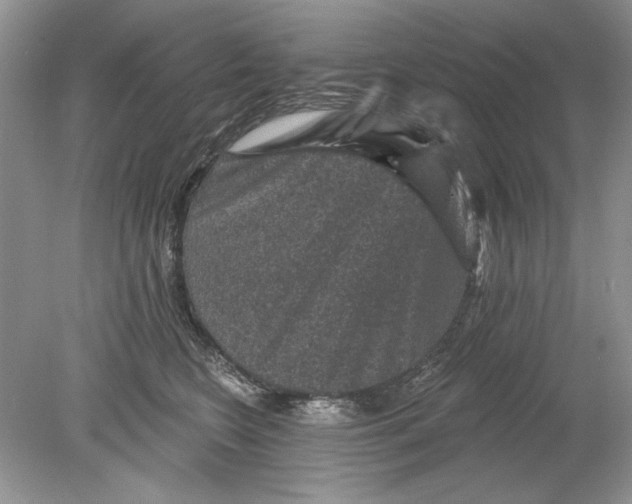 X0000078870566200612042001