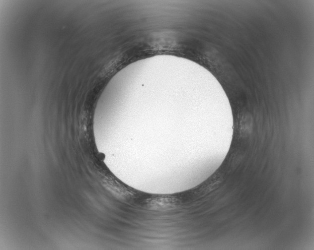 X0000078870567200612042001