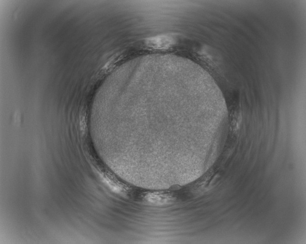 X0000078870568200612042001