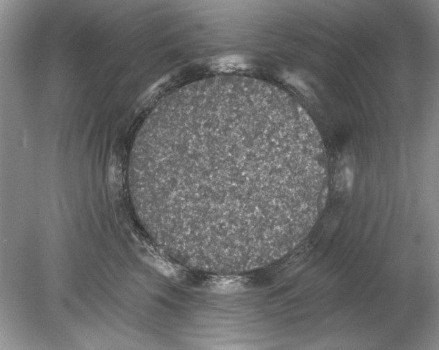 X0000078870569200612042001