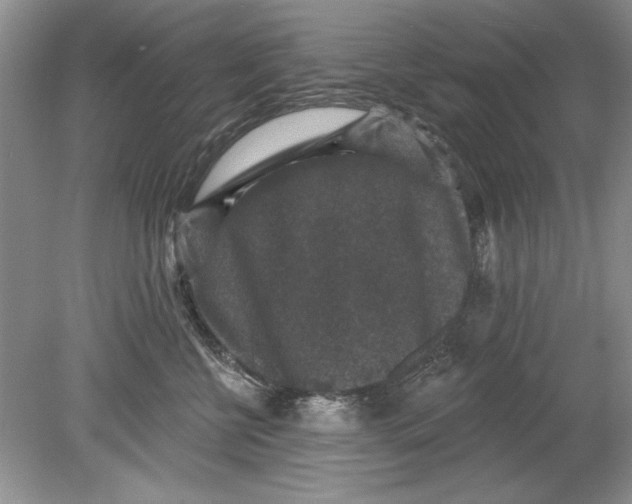 X0000078870570200612042001