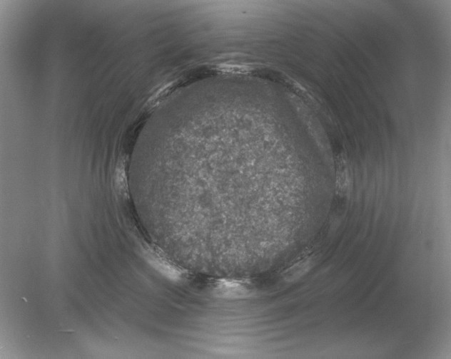 X0000078870573200612042001