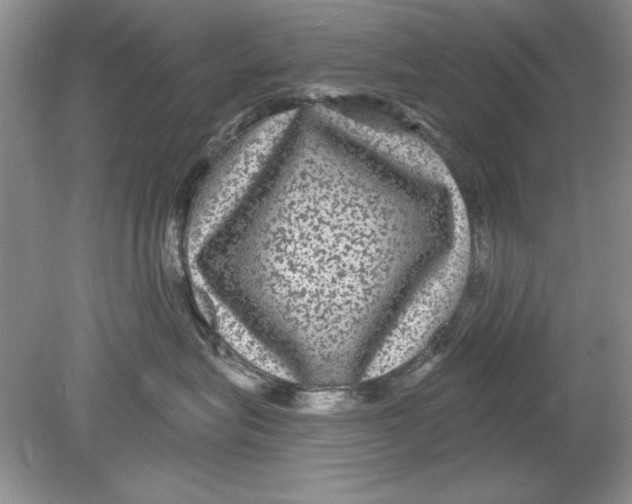 X0000078870575200612042001