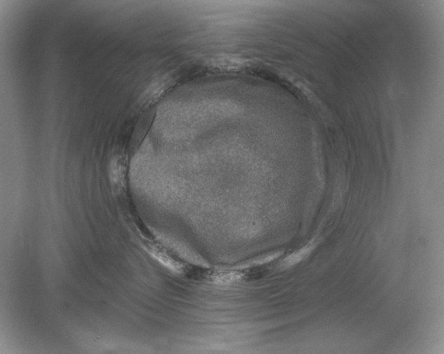 X0000078870576200612042001