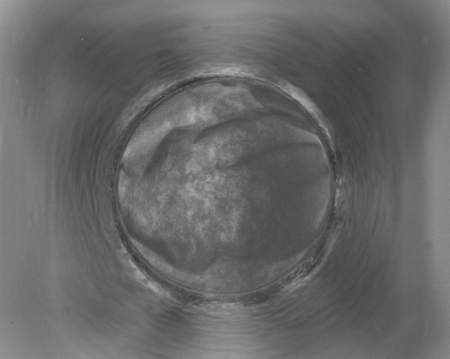 X0000078870577200612042000