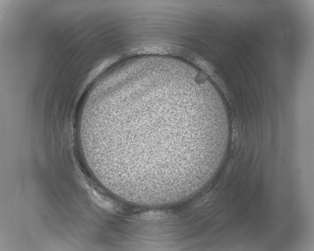 X0000078870578200612042000