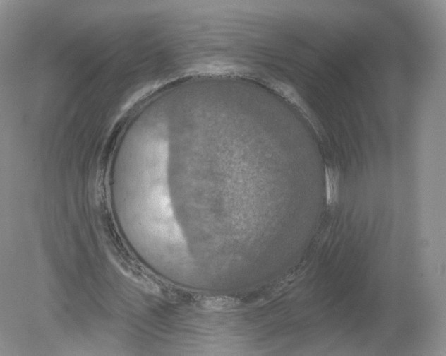 X0000078870579200612042000