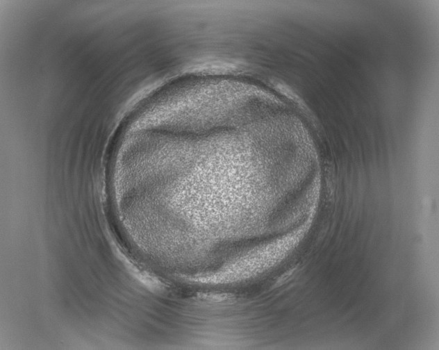 X0000078870582200612042000