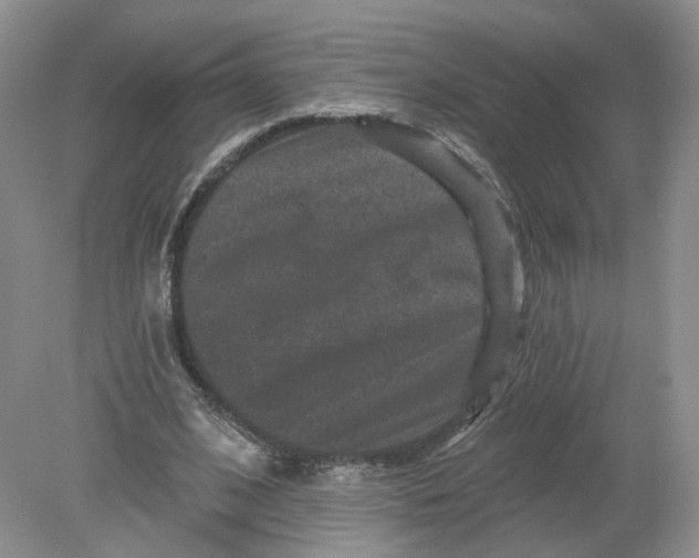 X0000078870584200612042000