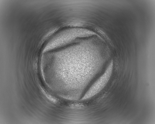 X0000078870586200612042000