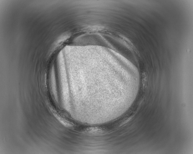 X0000078870589200612042000