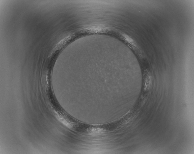 X0000078870590200612042000