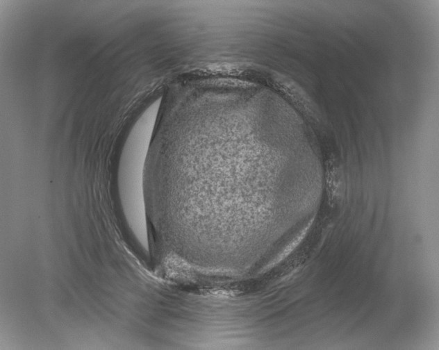 X0000078870593200612042000