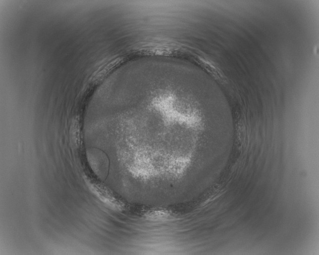 X0000078870594200612042000