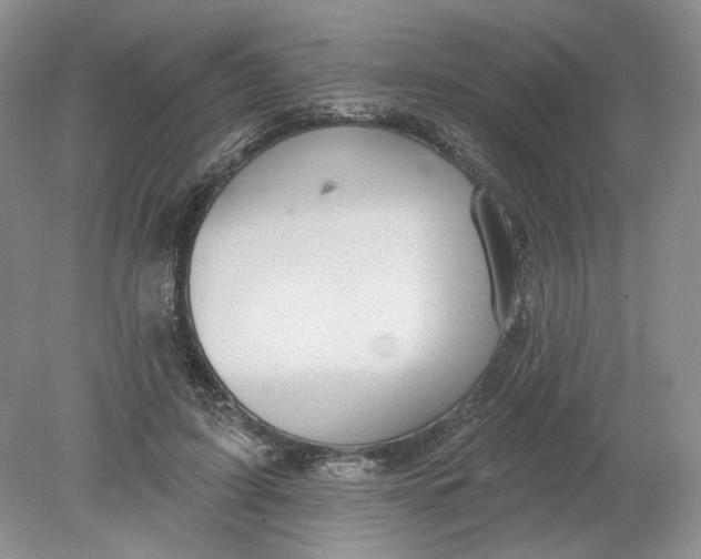 X0000078870595200612042000