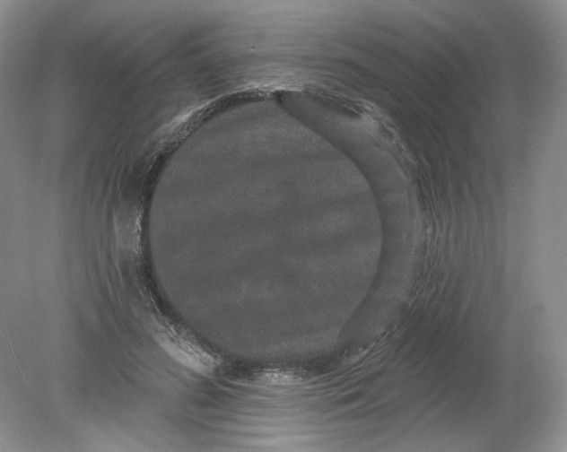 X0000078870596200612042000