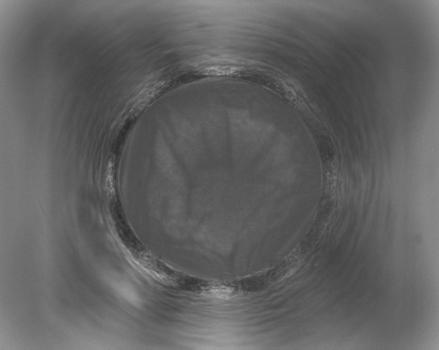 X0000078870598200612042000