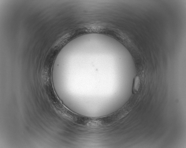 X0000078870599200612042000