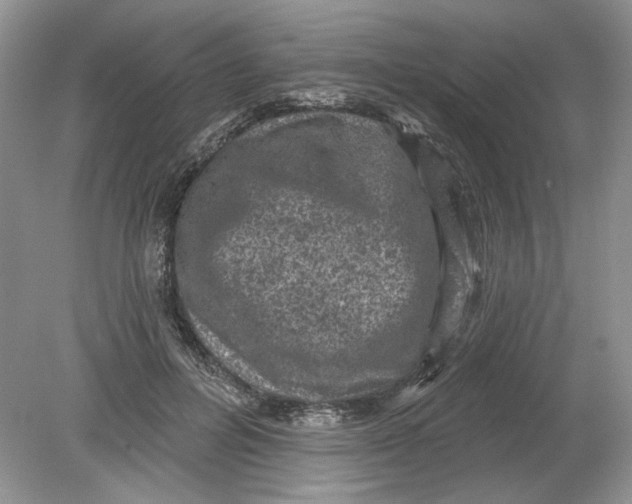 X0000078870600200612042000