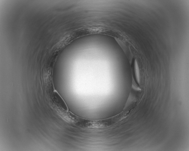 X0000078870601200612042000