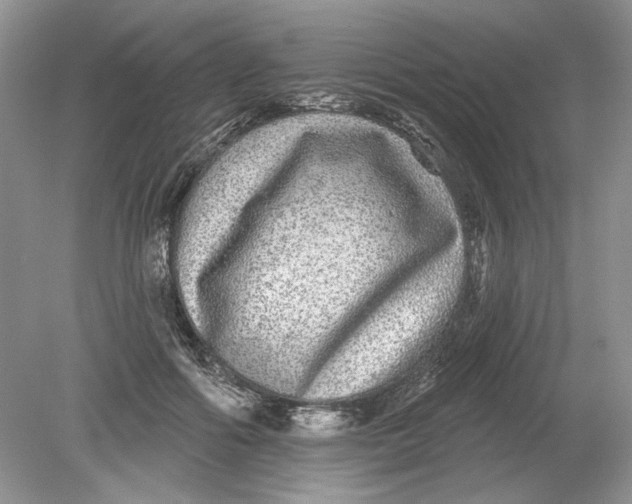 X0000078870602200612042000