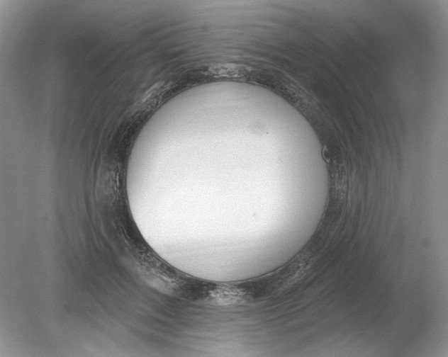 X0000078870603200612042000