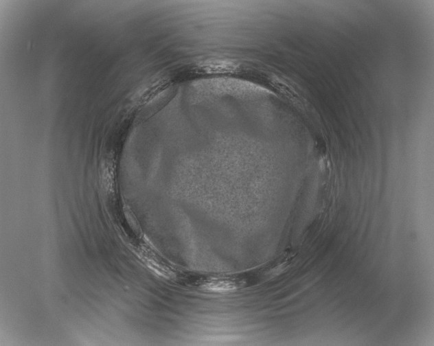 X0000078870604200612042000