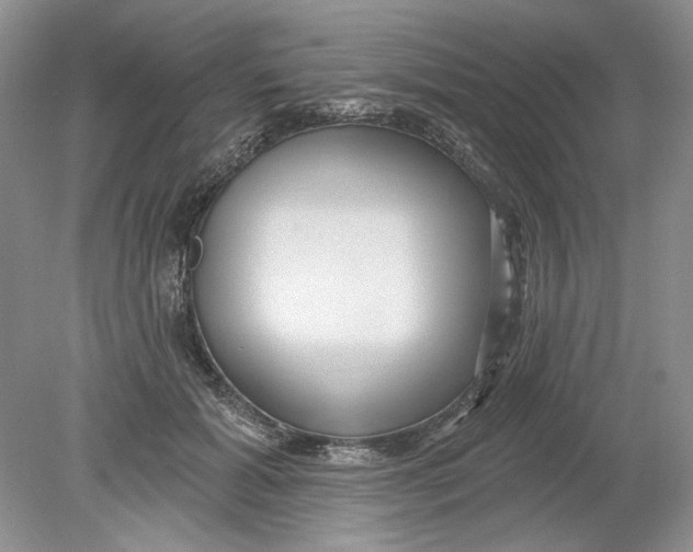 X0000078870605200612042000