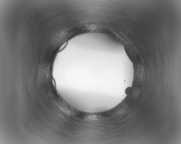 X0000078870611200612042000