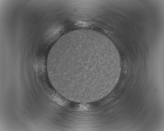 X0000078870612200612042000