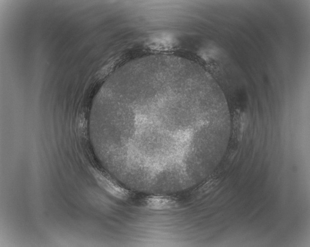 X0000078870614200612042000