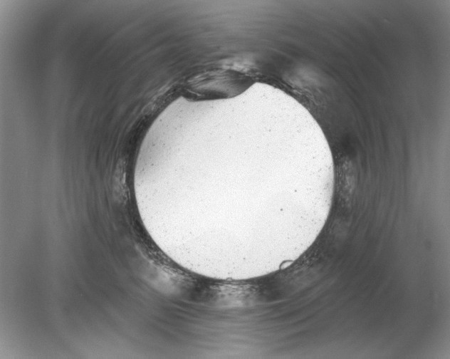 X0000078870615200612042000