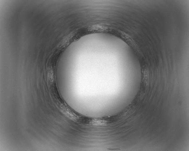 X0000078870617200612042000