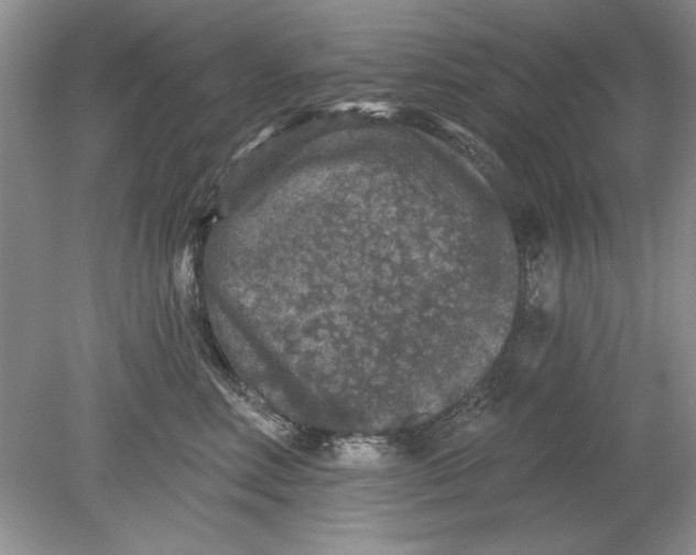 X0000078870618200612042000