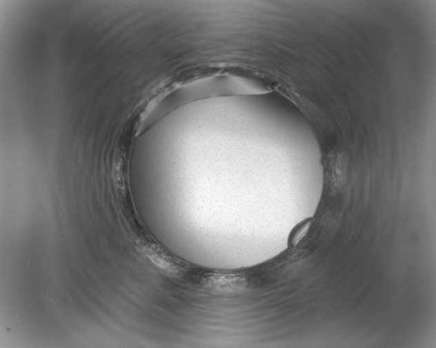 X0000078870619200612042000