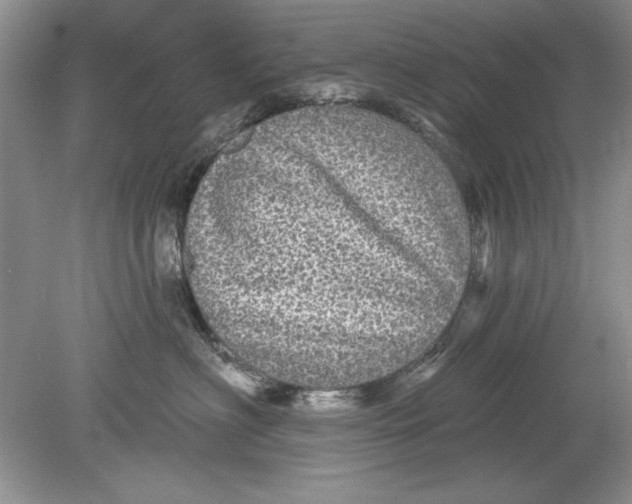 X0000078870622200612042000