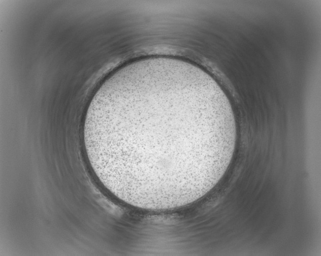 X0000078870625200612041959