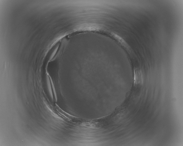 X0000078870627200612041959