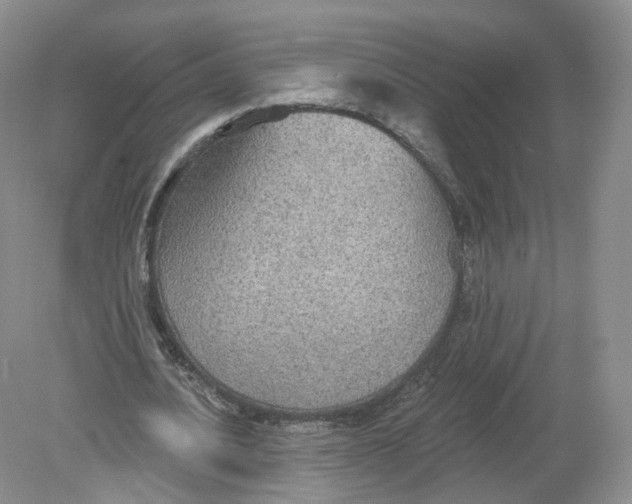 X0000078870628200612041959