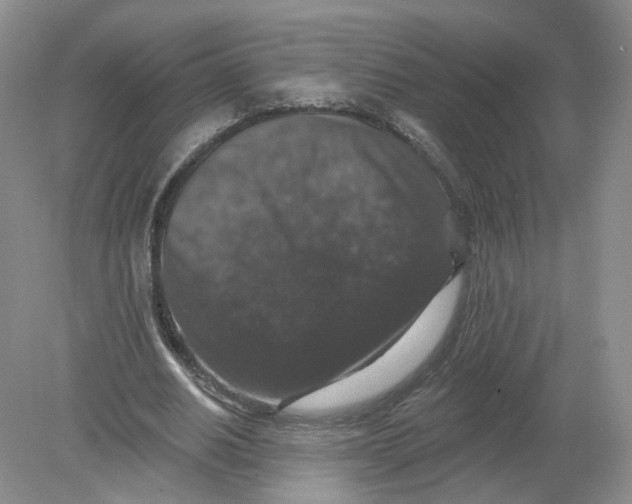 X0000078870630200612041959