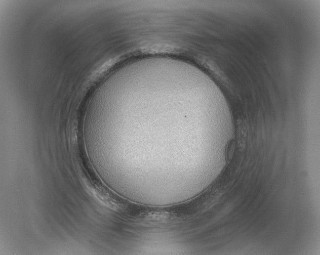 X0000078870631200612041959