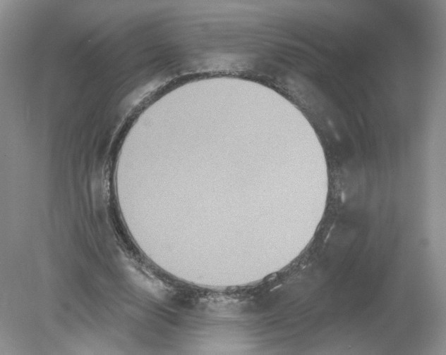 X0000078870632200612041959