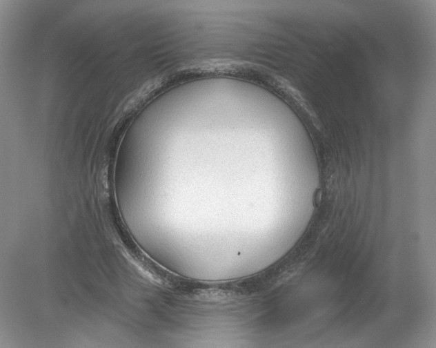 X0000078870633200612041959