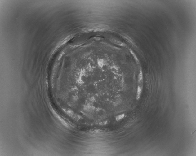 X0000078870634200612041959