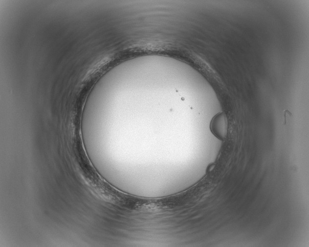 X0000078870635200612041959