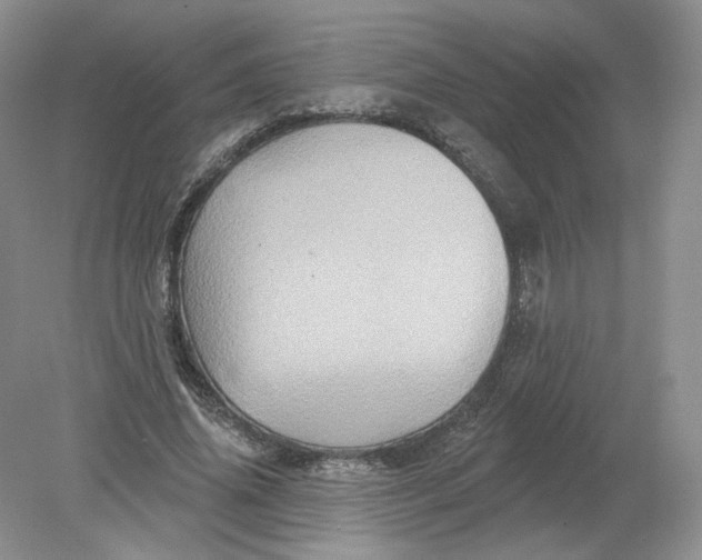 X0000078870636200612041959